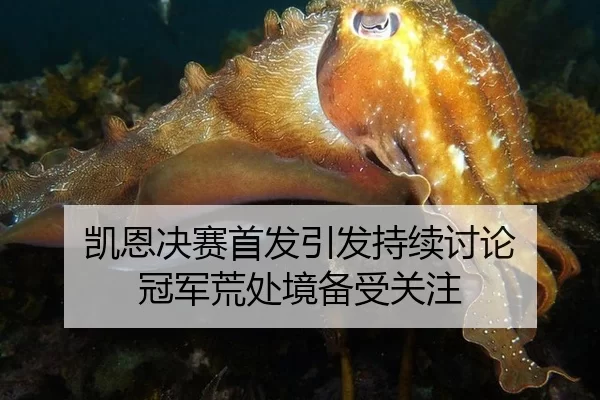 凯恩决赛首发引发持续讨论 冠军荒处境备受关注